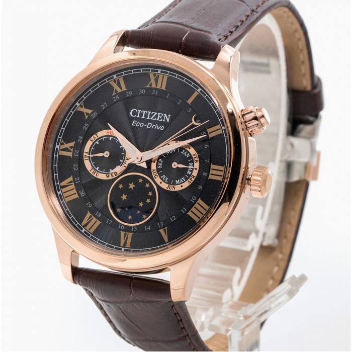 Citizen Eco-Drive AP1059-19E