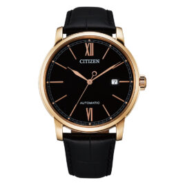 Citizen Mechanical NJ0133-12E