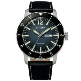 Citizen Eco-Drive AW0077-19L