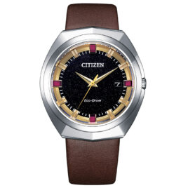 Citizen Eco-Drive BN1010-05E