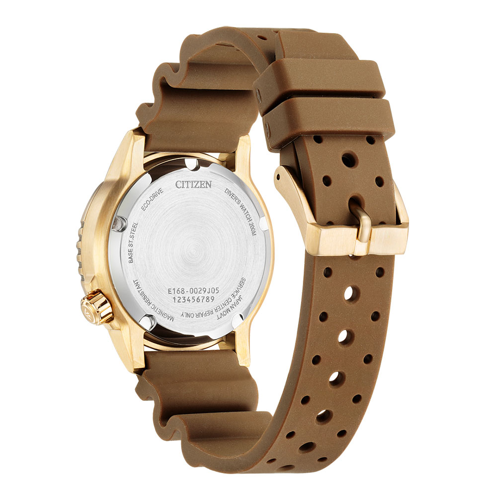 Citizen Promaster EO2022-02A