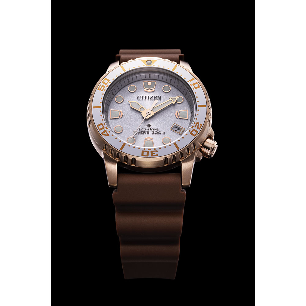 Citizen Promaster EO2022-02A
