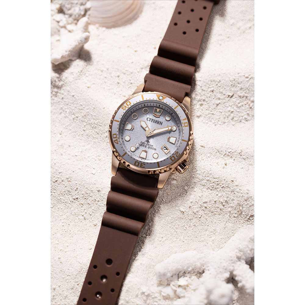 Citizen Promaster EO2022-02A