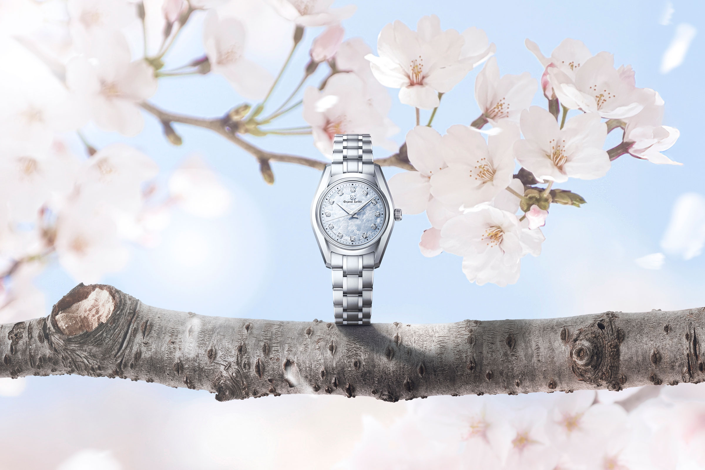 Grand Seiko STGF389 Features